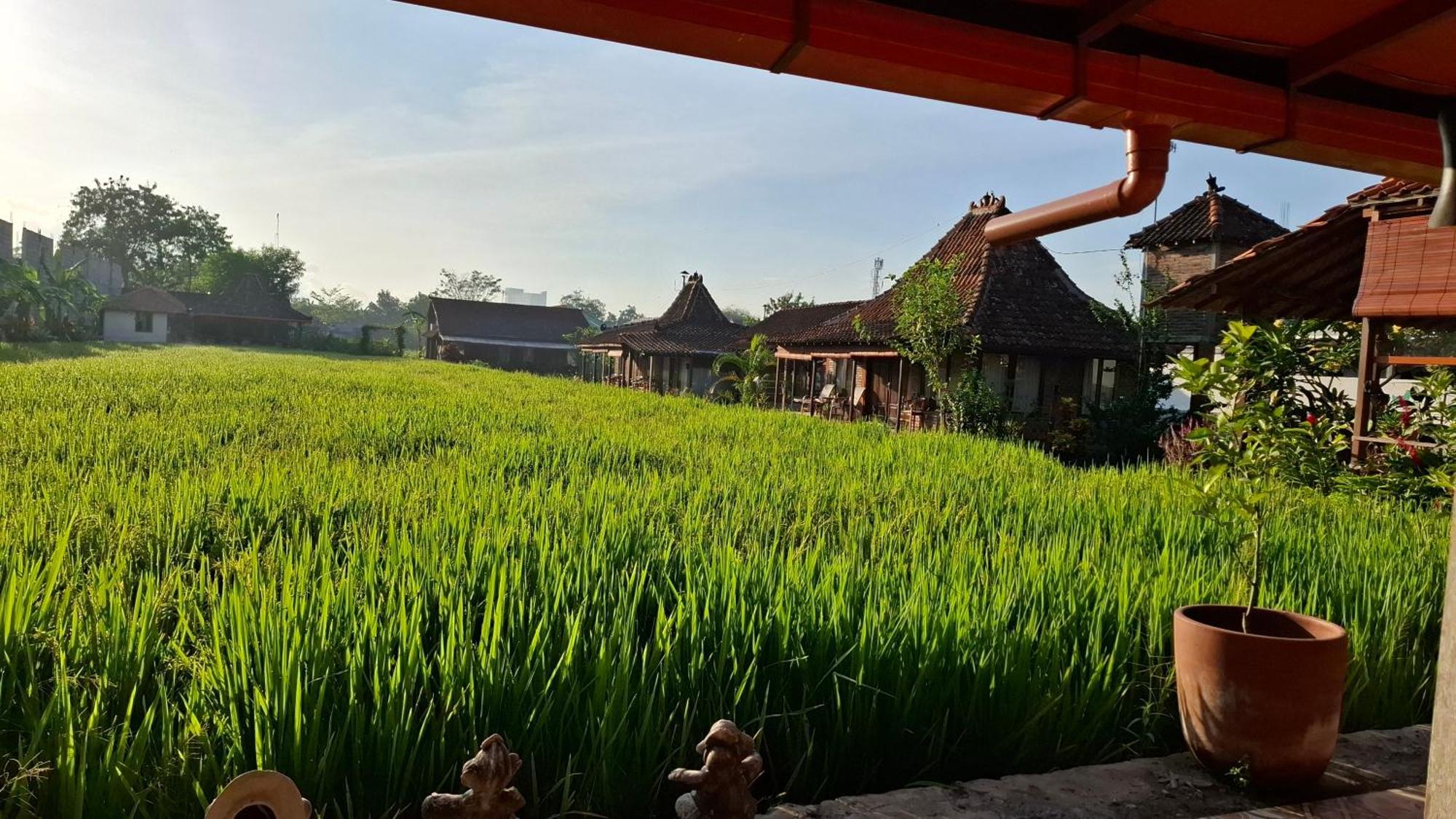 Alamanda Family Villas, Pool & Local Tours Yogyakarta Dış mekan fotoğraf