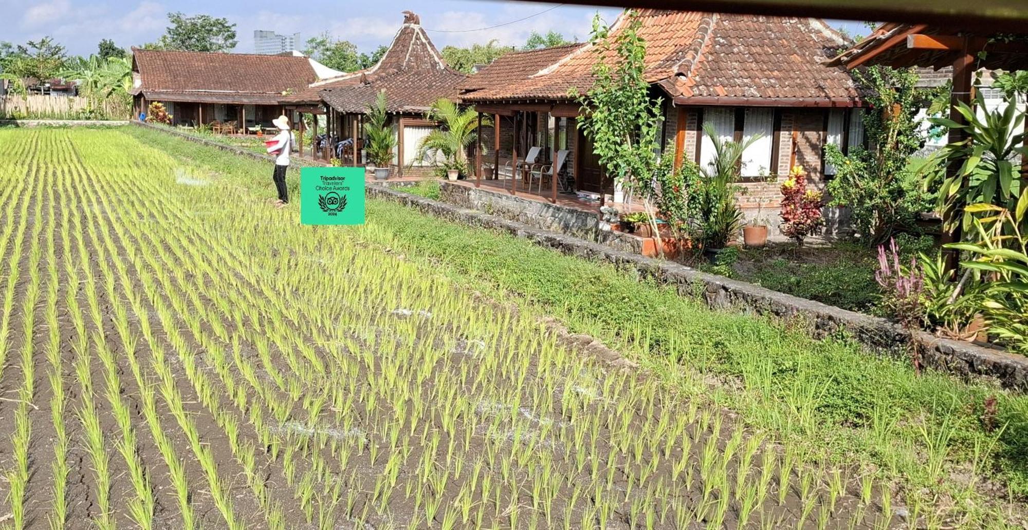 Alamanda Family Villas, Pool & Local Tours Yogyakarta Dış mekan fotoğraf