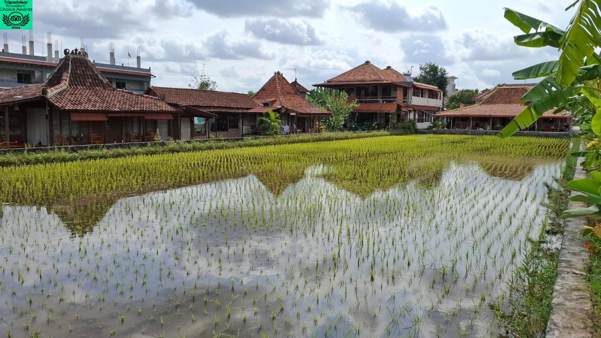 Alamanda Family Villas, Pool & Local Tours Yogyakarta Dış mekan fotoğraf