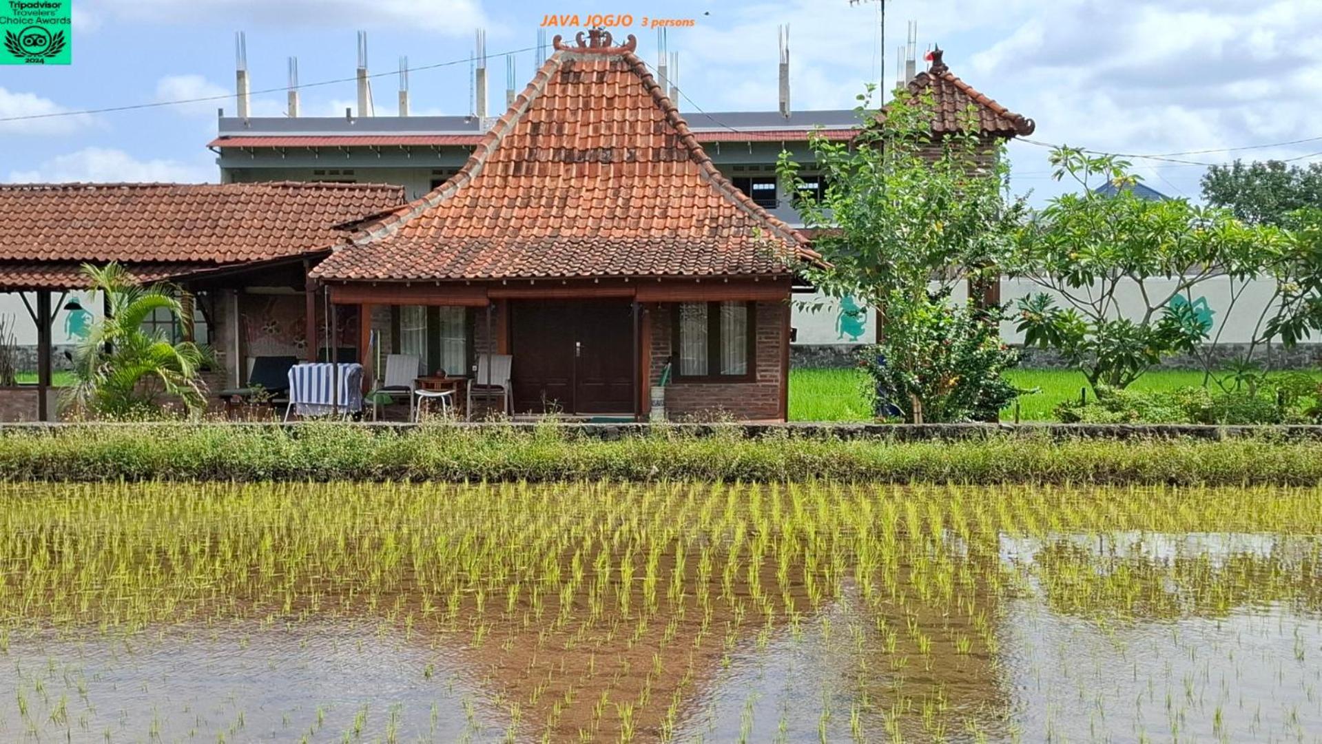 Alamanda Family Villas, Pool & Local Tours Yogyakarta Dış mekan fotoğraf