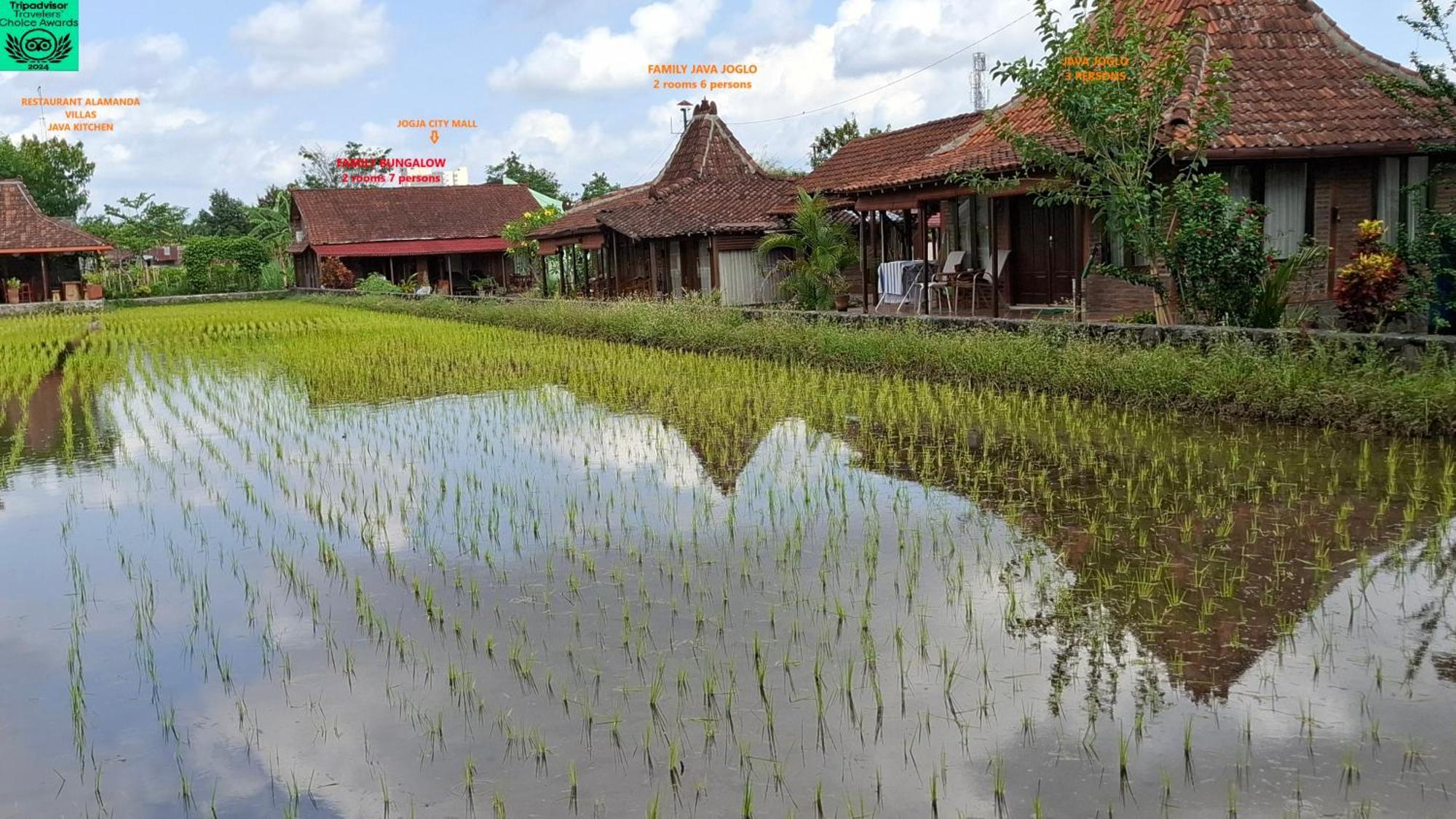 Alamanda Family Villas, Pool & Local Tours Yogyakarta Dış mekan fotoğraf