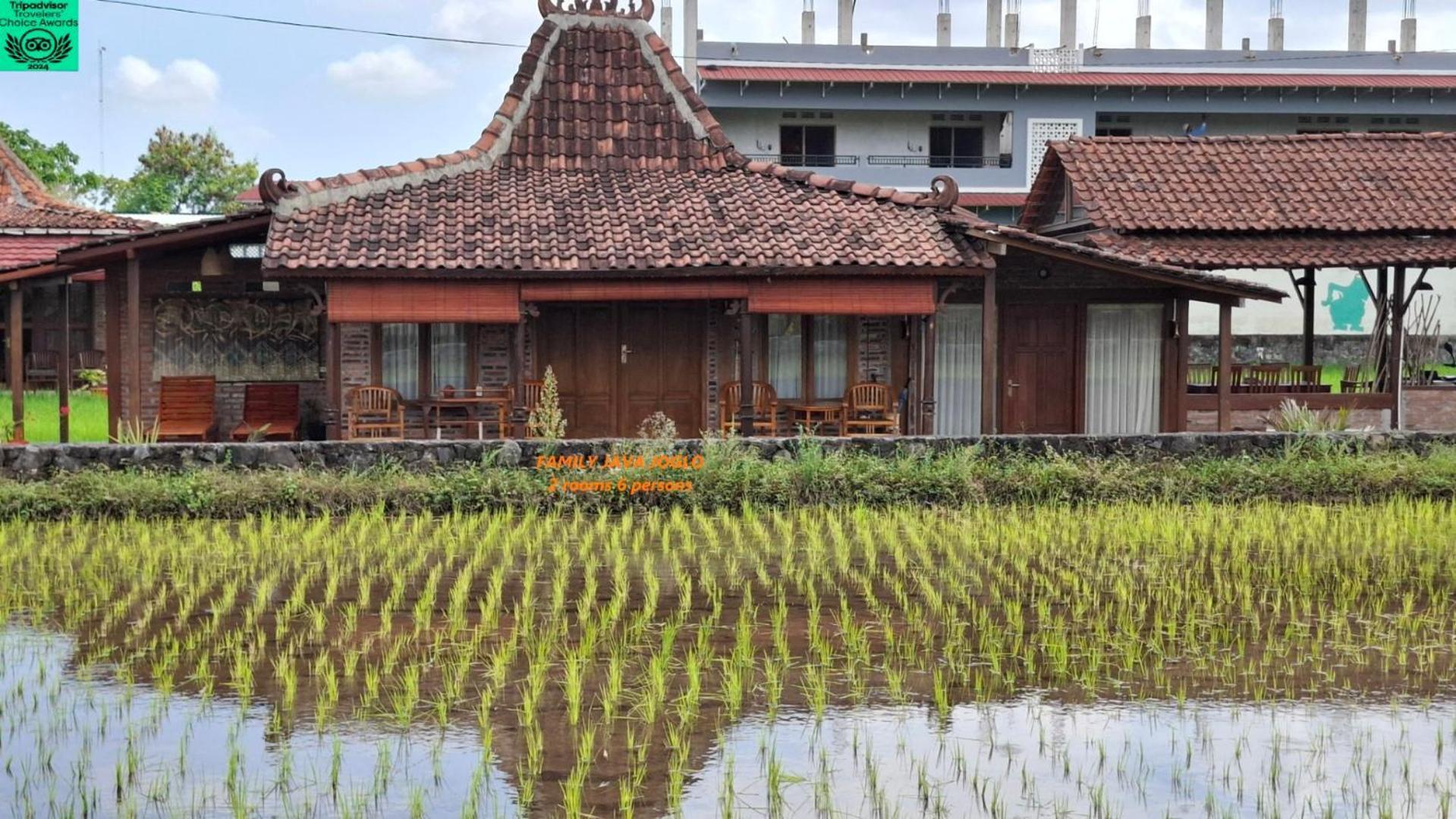 Alamanda Family Villas, Pool & Local Tours Yogyakarta Dış mekan fotoğraf